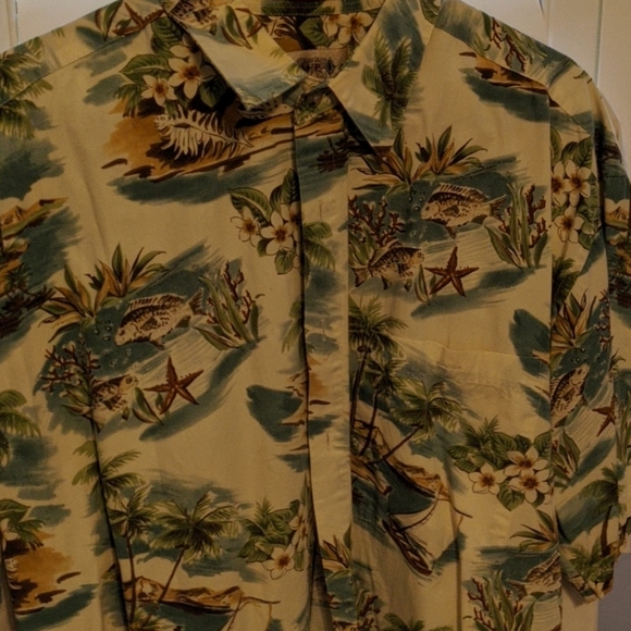 Campia Buttondown - Picture 1 of 4
